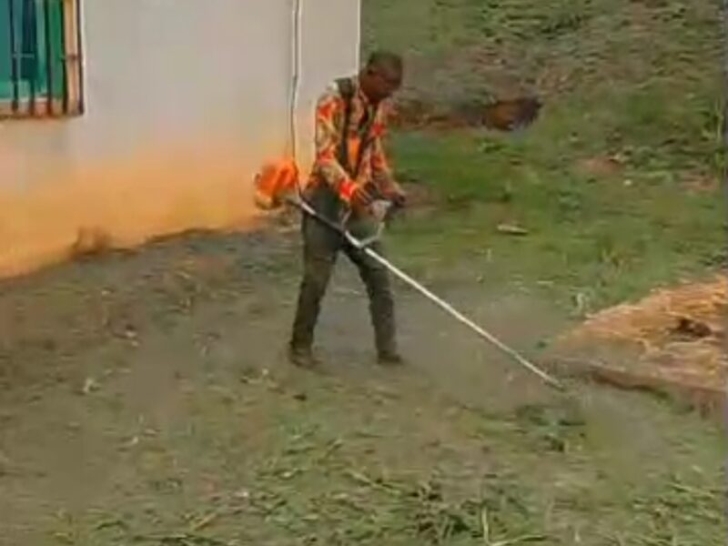 Entretien d'espaces verts à franceville